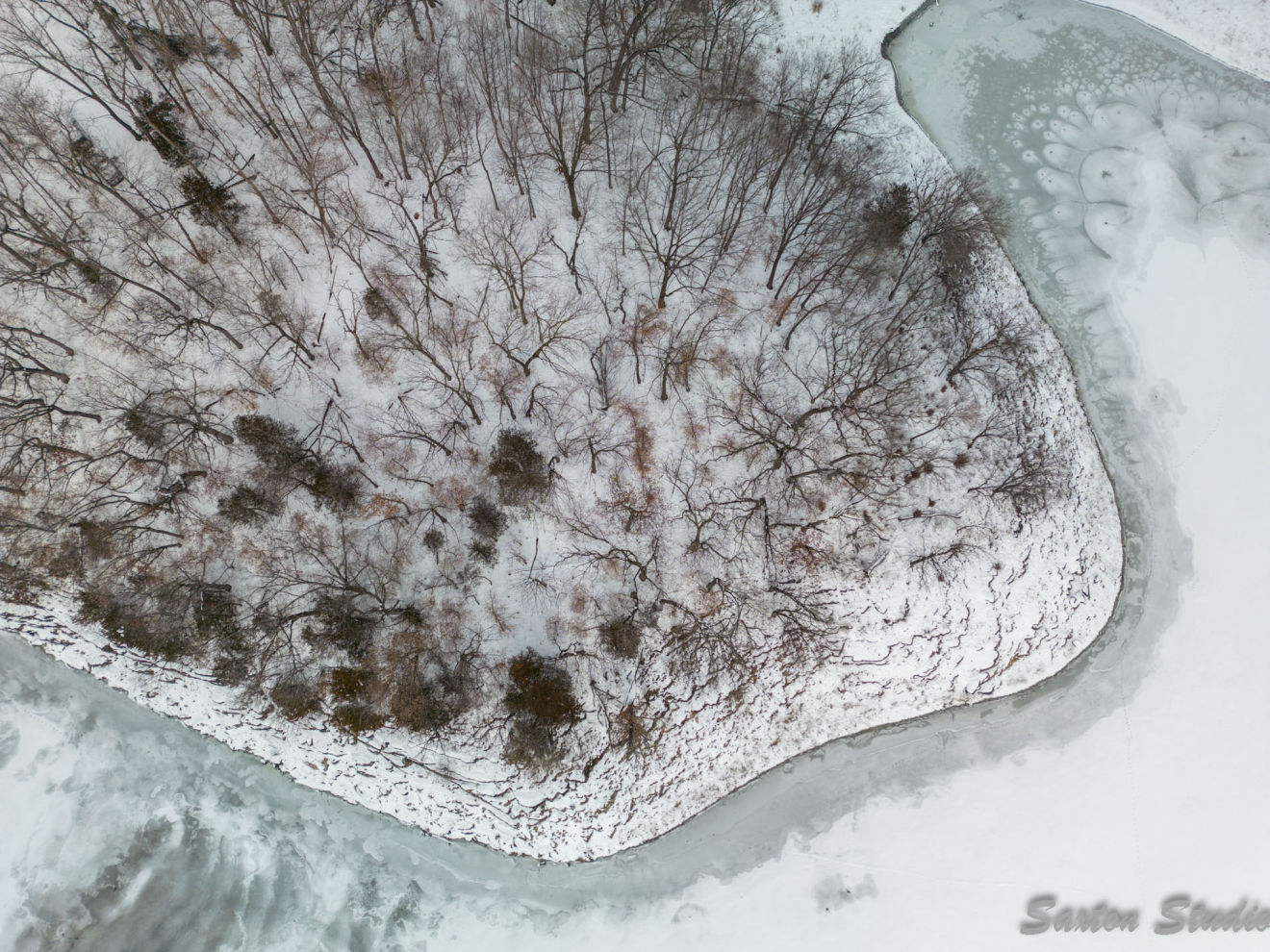 Close up photo of wheat